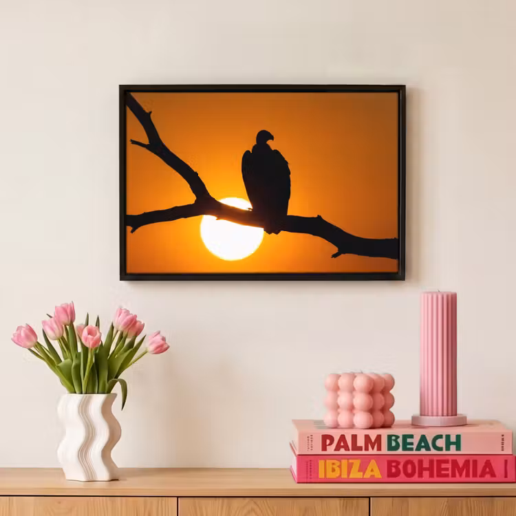Canvas met lijst - Gier - Tak - Zon - Oranje — 8