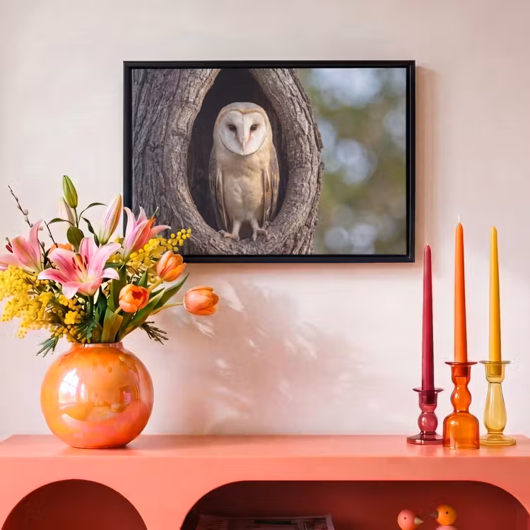 Canvas met lijst - Kerkuil - Boom - Natuur - Bruin — 4