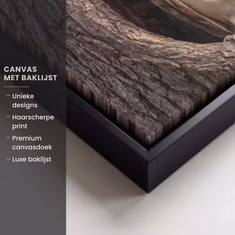 Canvas met lijst - Kerkuil - Boom - Natuur - Bruin — 5