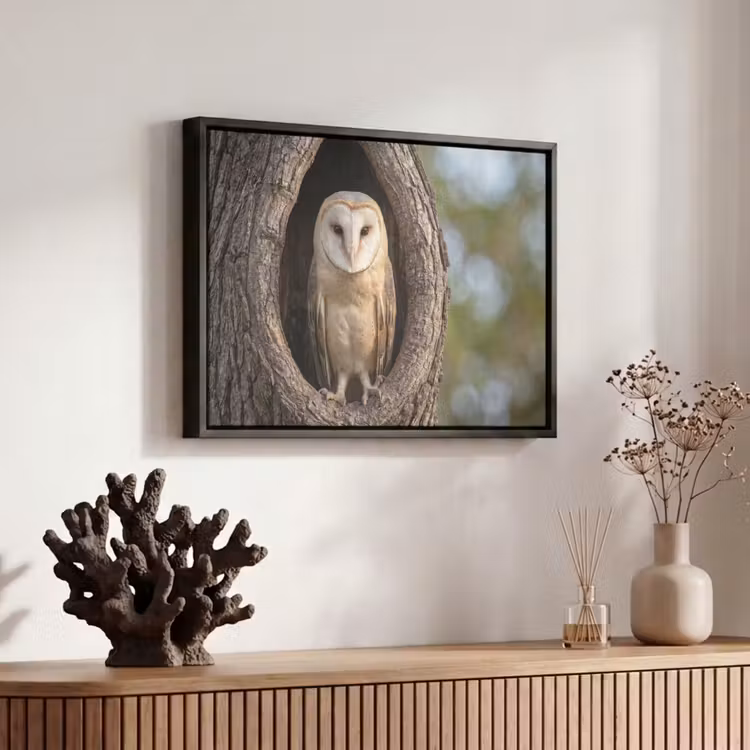 Canvas met lijst - Kerkuil - Boom - Natuur - Bruin — 6