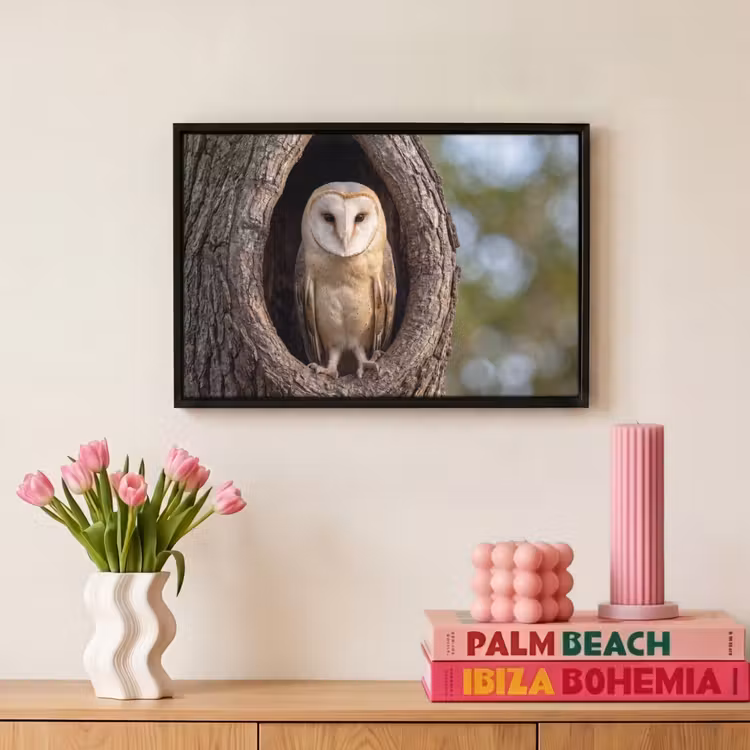 Canvas met lijst - Kerkuil - Boom - Natuur - Bruin — 8