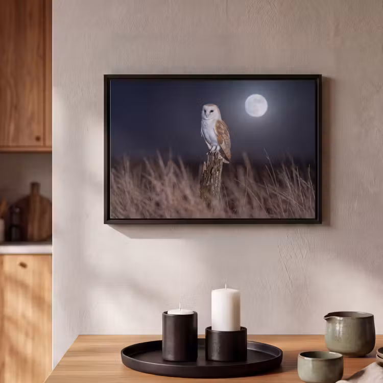 Canvas met lijst - Kerkuil - Maan - Nacht — 2