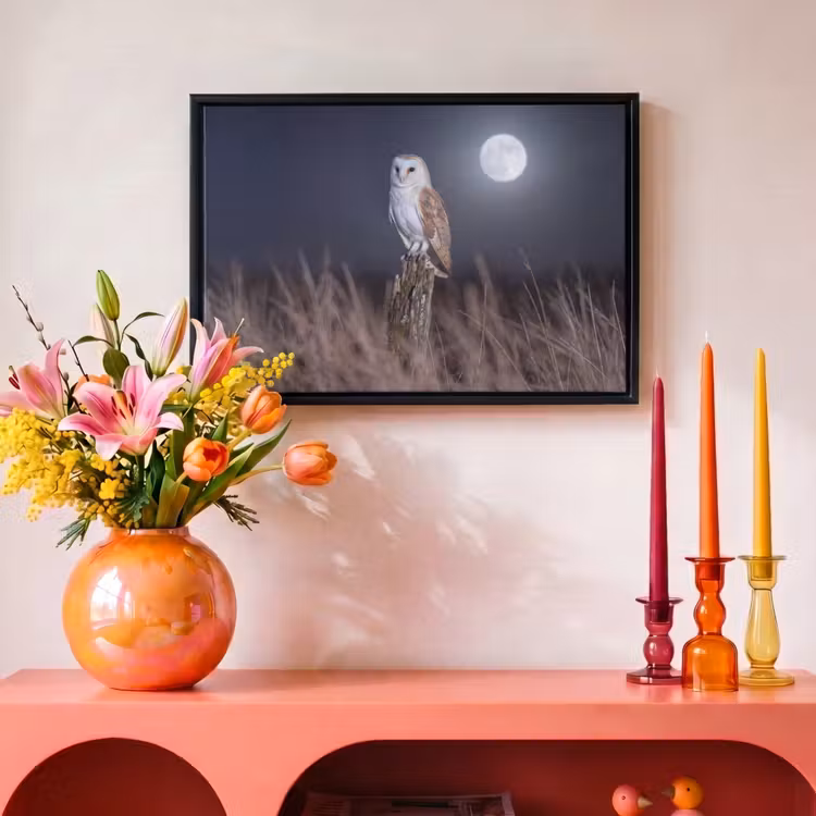 Canvas met lijst - Kerkuil - Maan - Nacht — 4