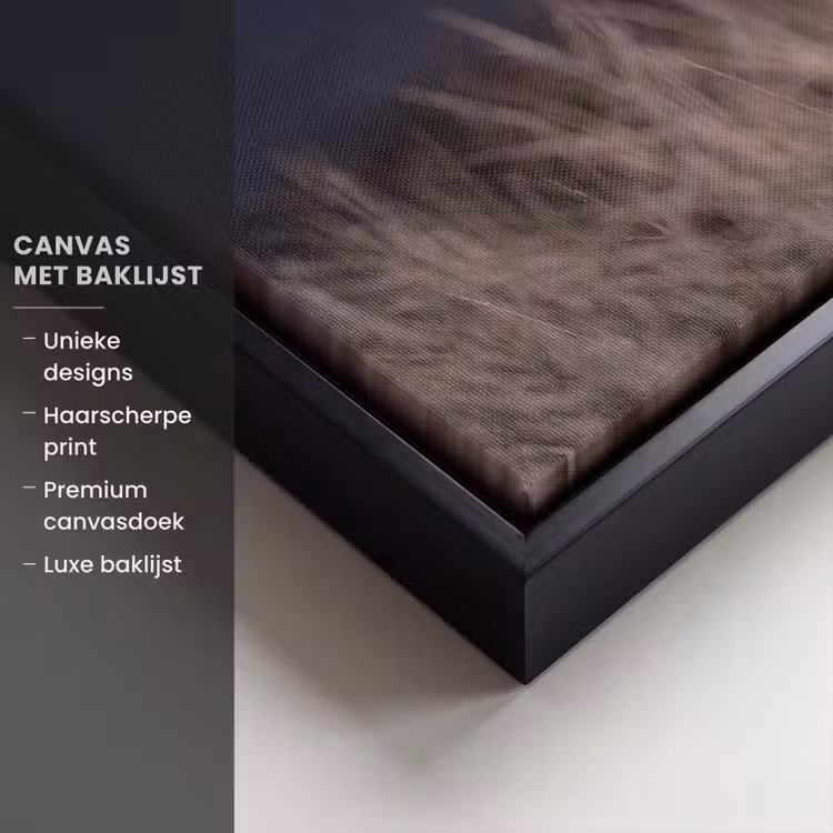Canvas met lijst - Kerkuil - Maan - Nacht — 5
