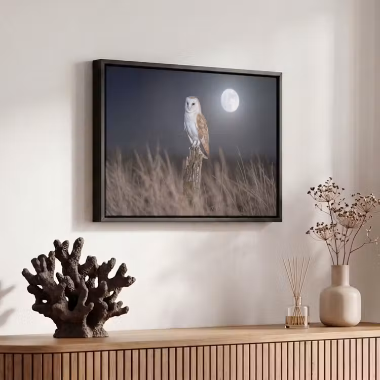 Canvas met lijst - Kerkuil - Maan - Nacht — 6