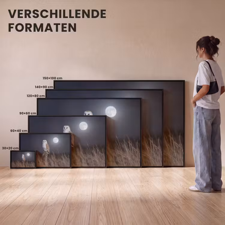 Canvas met lijst - Kerkuil - Maan - Nacht — 7