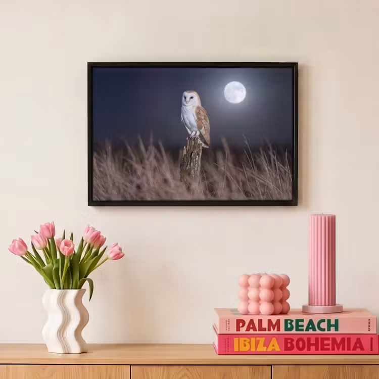 Canvas met lijst - Kerkuil - Maan - Nacht — 8