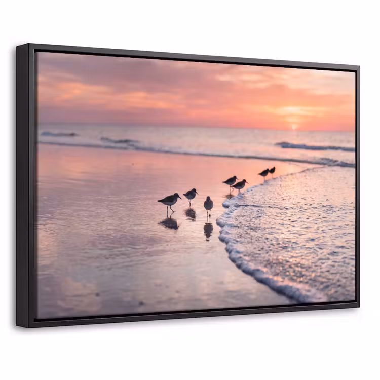 Canvas met lijst - Meeuwen - Strand - Zee - Roze — 1