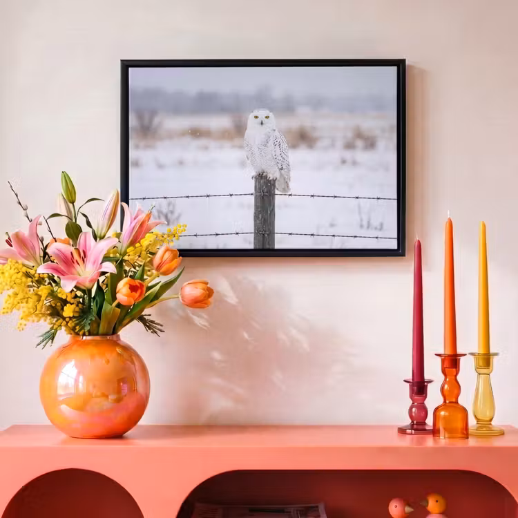 Canvas met lijst - Sneeuwuil - Hek - Sneeuw - Wit — 4