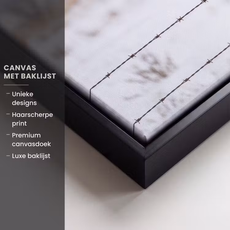 Canvas met lijst - Sneeuwuil - Hek - Sneeuw - Wit — 5