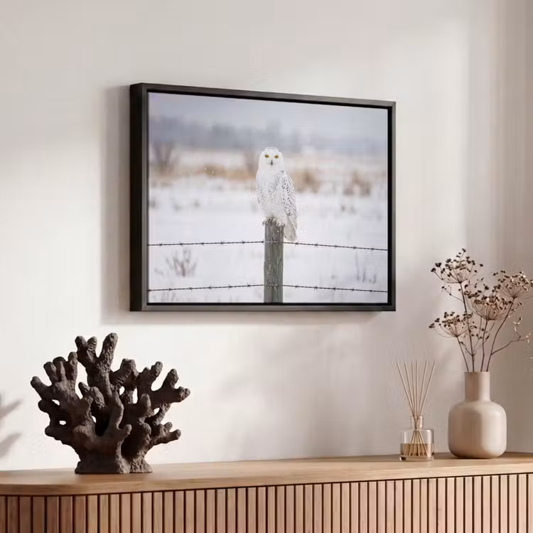 Canvas met lijst - Sneeuwuil - Hek - Sneeuw - Wit — 6