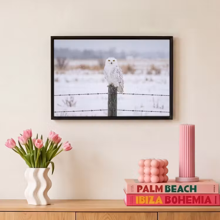 Canvas met lijst - Sneeuwuil - Hek - Sneeuw - Wit — 8