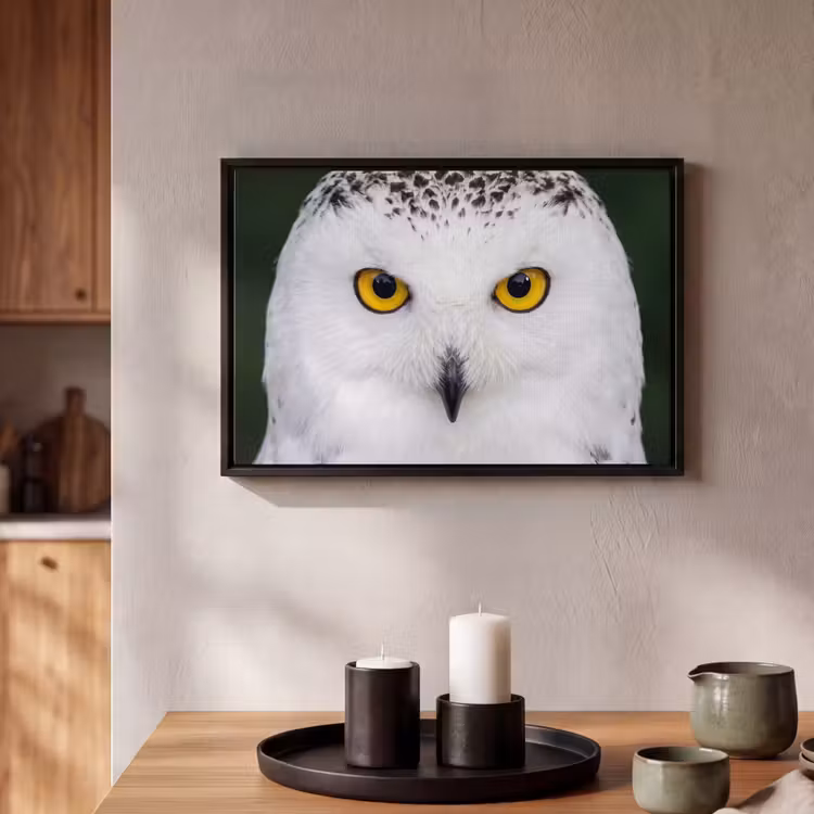 Canvas met lijst - Sneeuwuil - Portret - Geel — 2