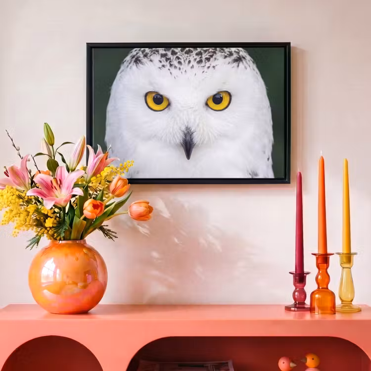 Canvas met lijst - Sneeuwuil - Portret - Geel — 4