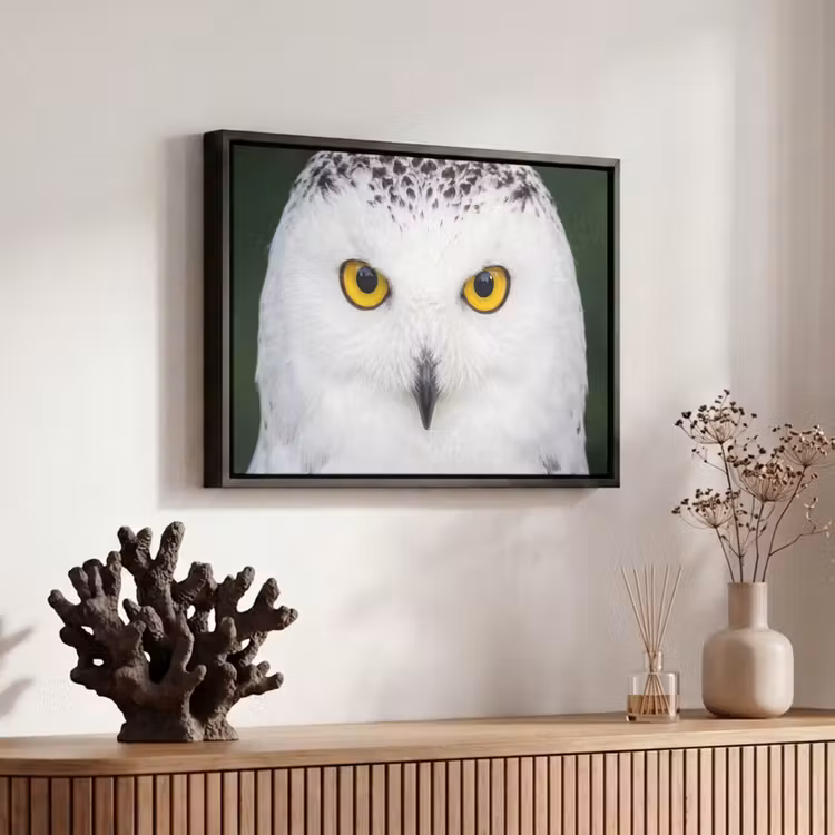 Canvas met lijst - Sneeuwuil - Portret - Geel — 6