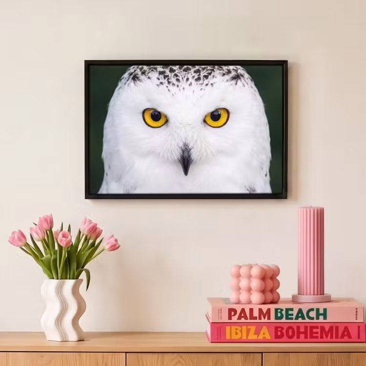 Canvas met lijst - Sneeuwuil - Portret - Geel — 8