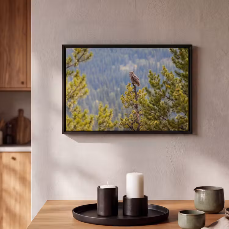 Canvas met lijst - Uil - Oehoe - Bomen - Natuur — 2