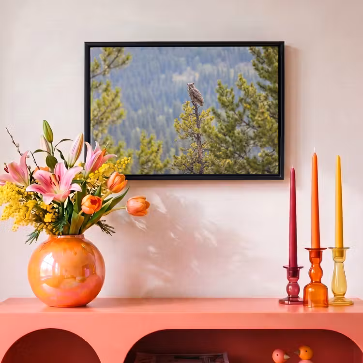 Canvas met lijst - Uil - Oehoe - Bomen - Natuur — 4