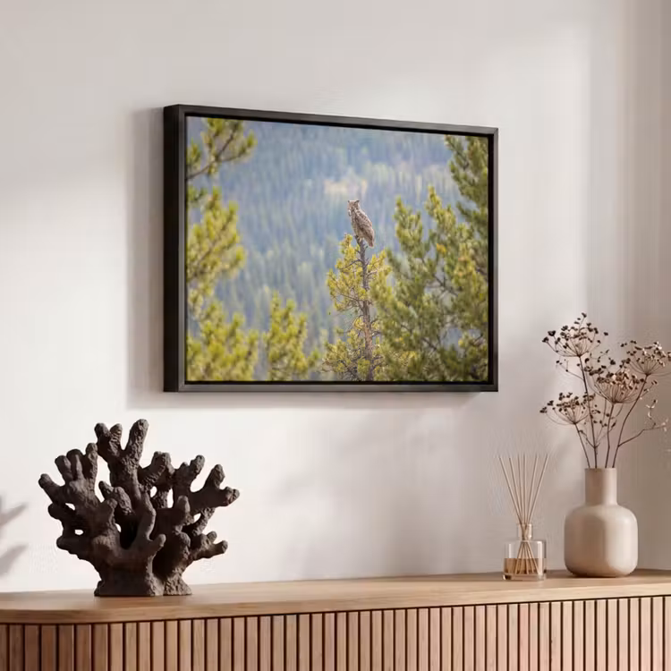 Canvas met lijst - Uil - Oehoe - Bomen - Natuur — 6