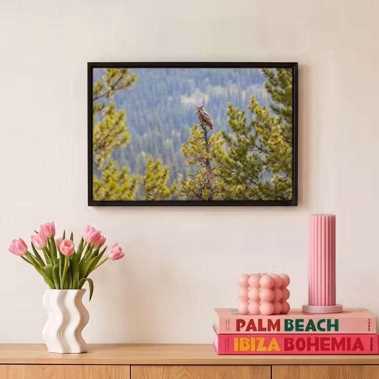 Canvas met lijst - Uil - Oehoe - Bomen - Natuur — 8