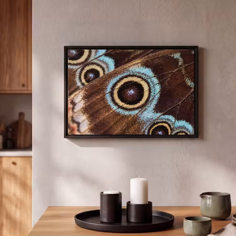 Canvas met lijst - Vleugels - Vlinder - Blauw — 2