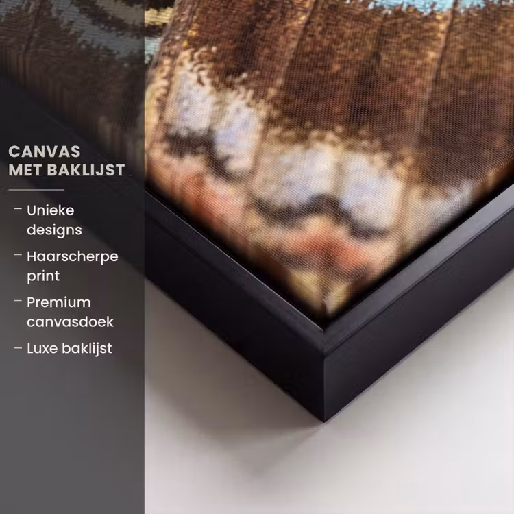 Canvas met lijst - Vleugels - Vlinder - Blauw — 5