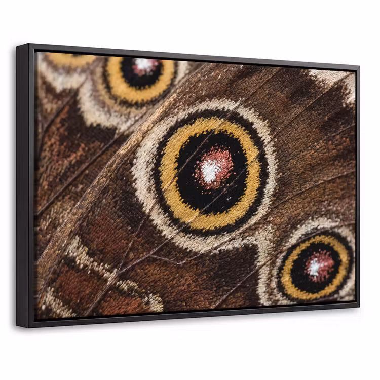 Canvas met lijst - Vlinder - Vleugel - Abstract — 1