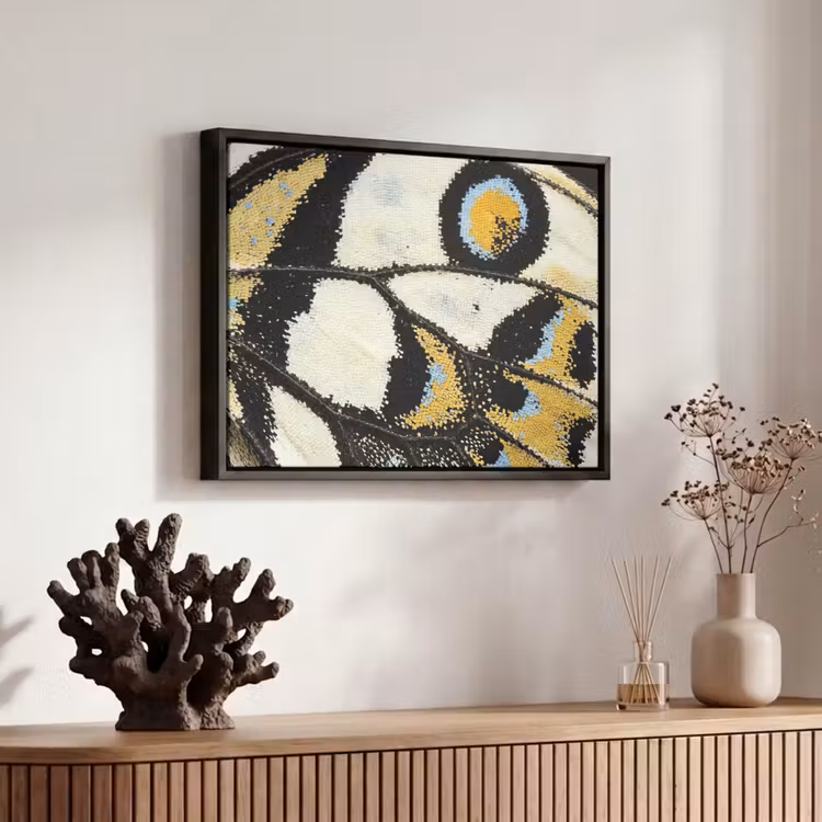 Canvas met lijst - Vlinder - Vleugel - Geel — 6