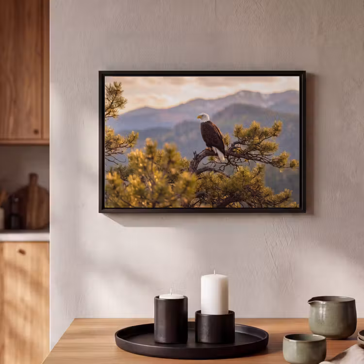 Canvas met lijst - Zeearend - Boom - Bergen - Groen — 2