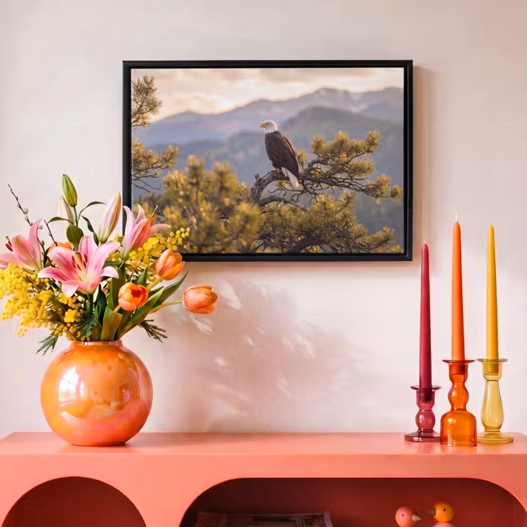 Canvas met lijst - Zeearend - Boom - Bergen - Groen — 4