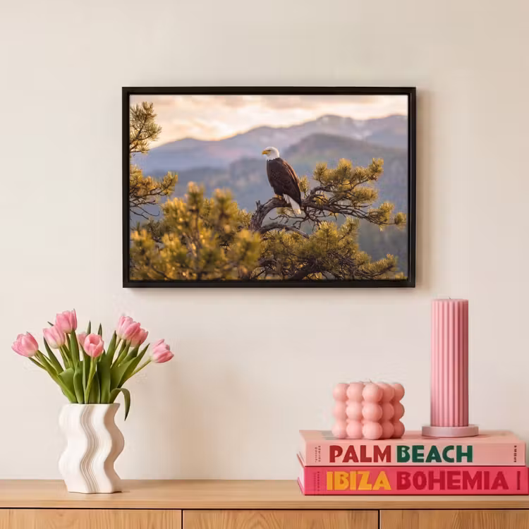 Canvas met lijst - Zeearend - Boom - Bergen - Groen — 8