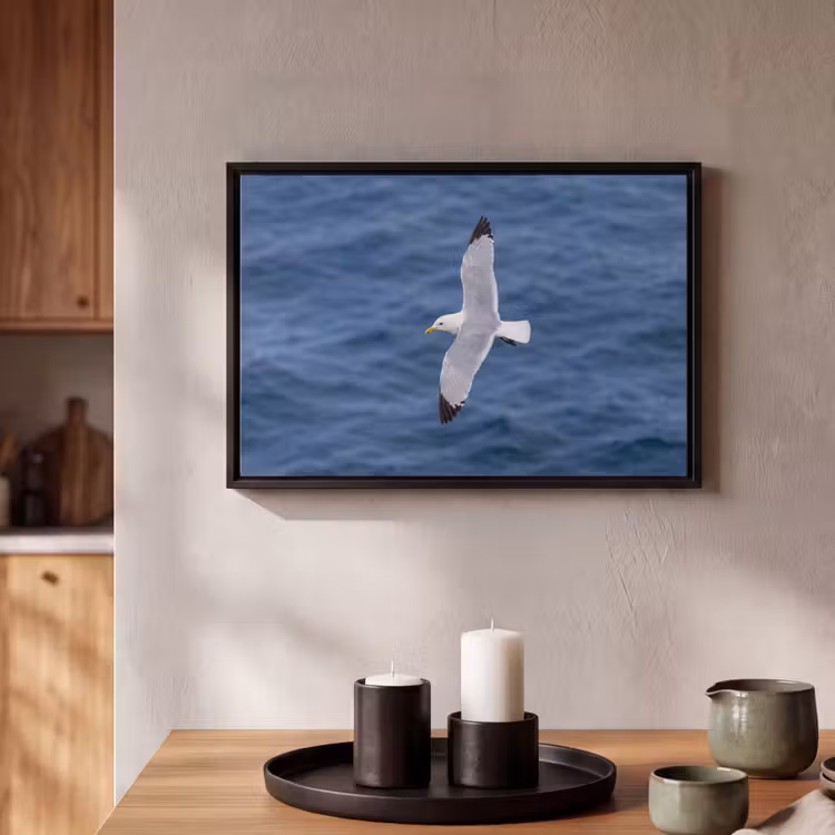 Canvas met lijst - Zeemeeuw - Oceaan - Blauw — 2