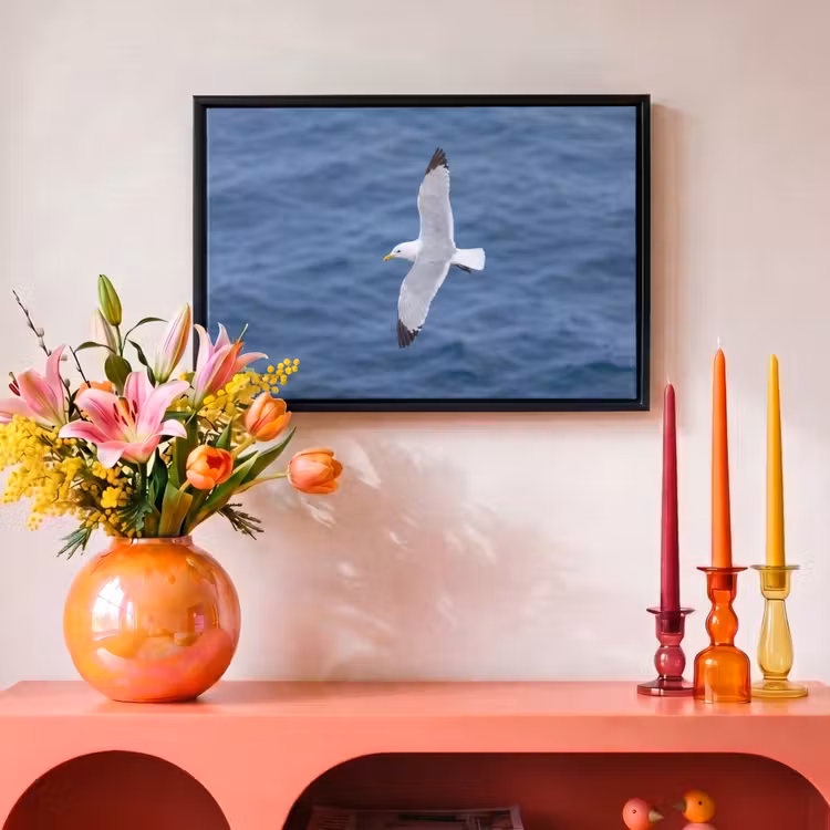 Canvas met lijst - Zeemeeuw - Oceaan - Blauw — 4