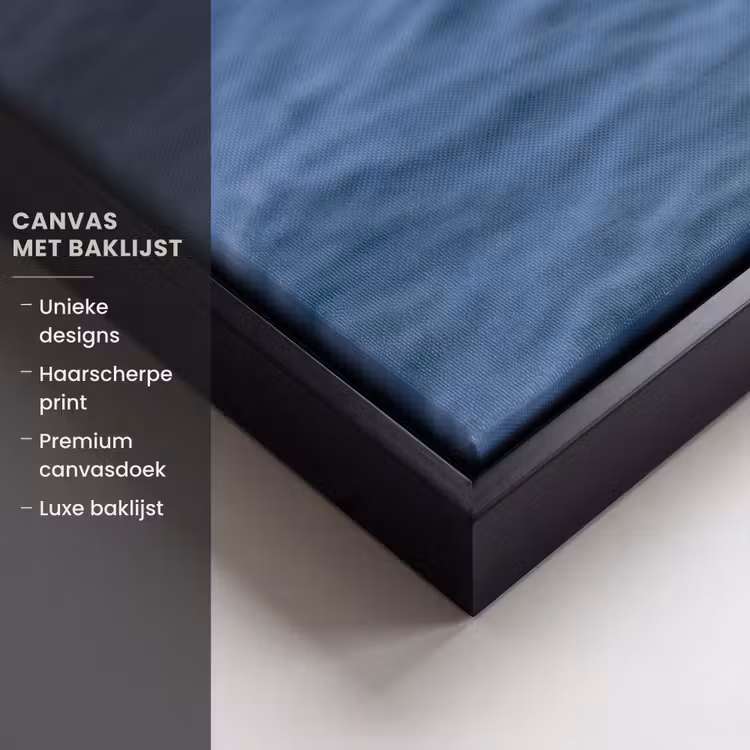 Canvas met lijst - Zeemeeuw - Oceaan - Blauw — 5