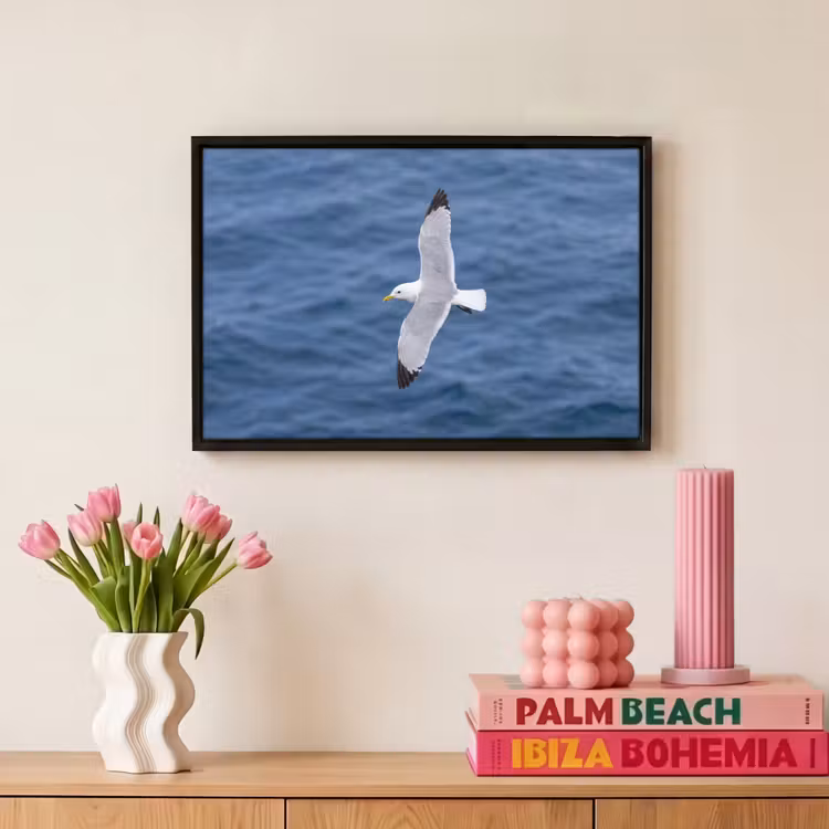 Canvas met lijst - Zeemeeuw - Oceaan - Blauw — 8