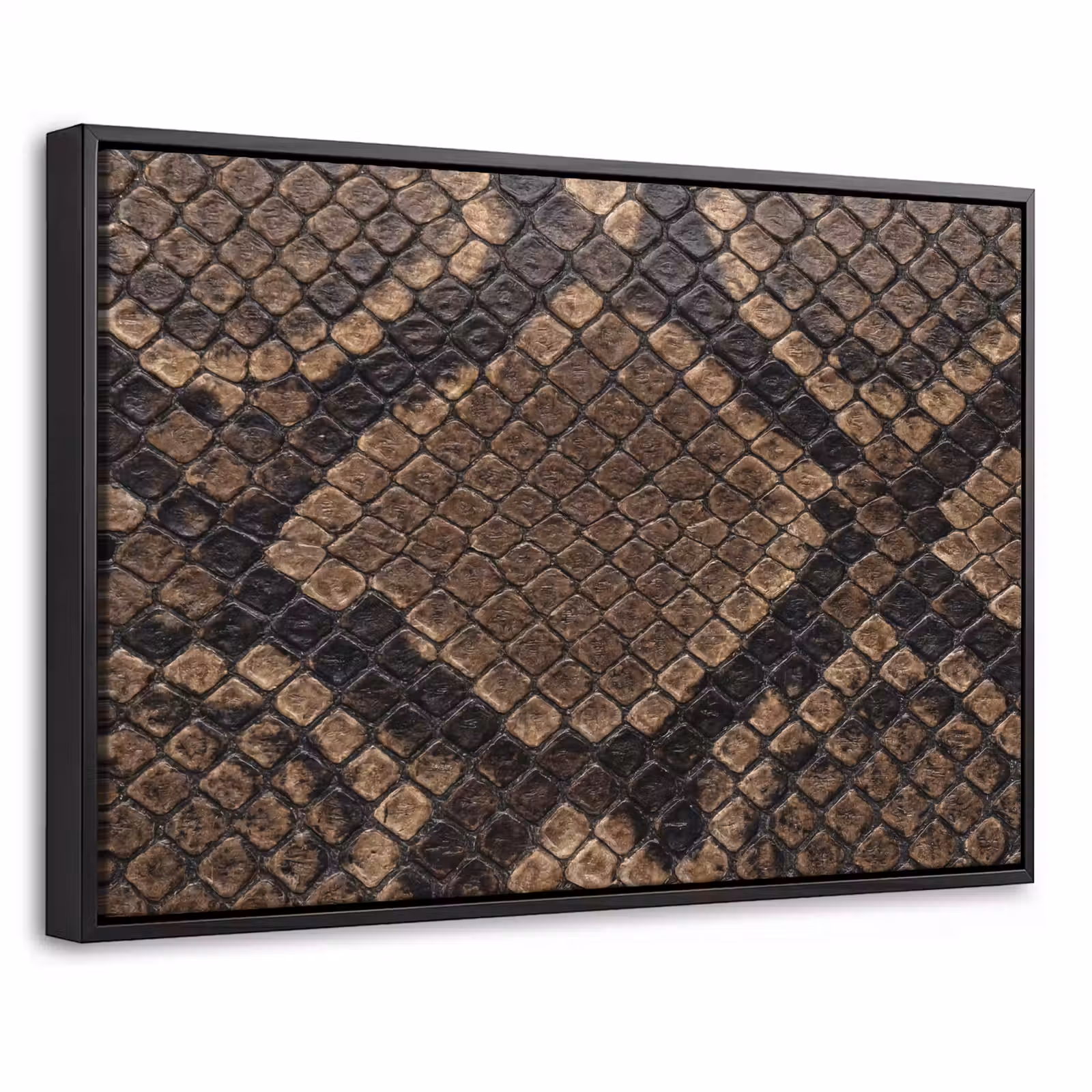 Canvas met lijst - Python - Schubben - Brons — 1