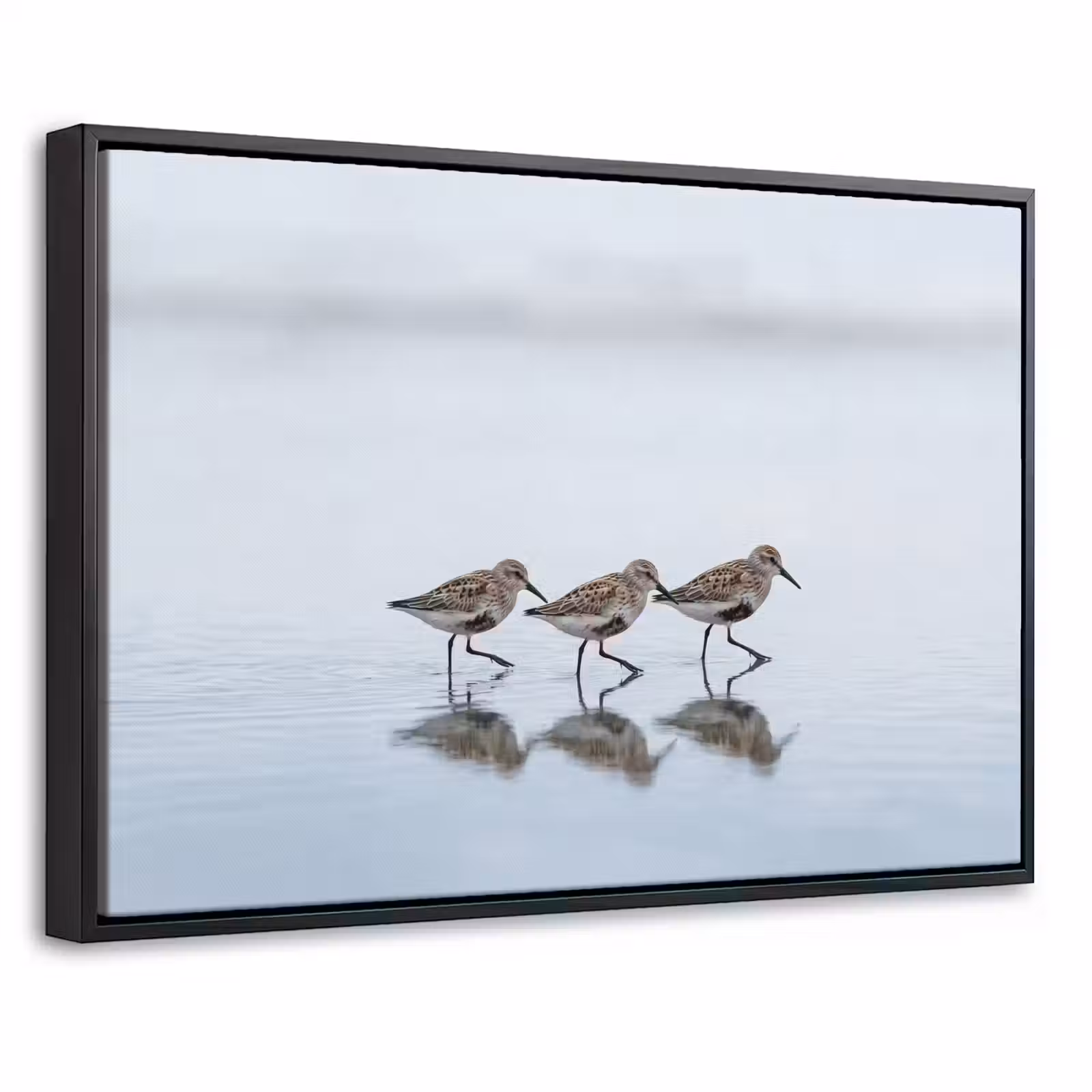Canvas met lijst - Vogels - Water - Grijs — 1