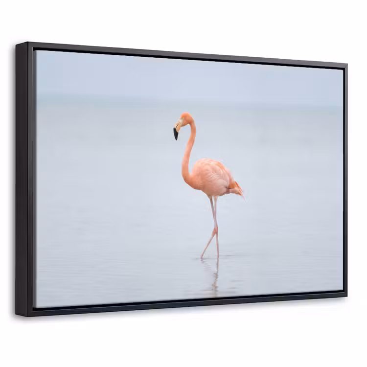 Canvas met lijst - Flamingo - Zee - Roze — 1