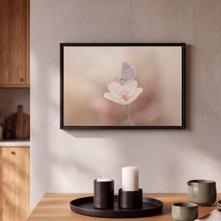 Canvas met lijst - Vlinder - Bloem - Blauw — 2