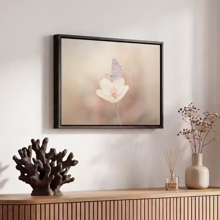 Canvas met lijst - Vlinder - Bloem - Blauw — 6