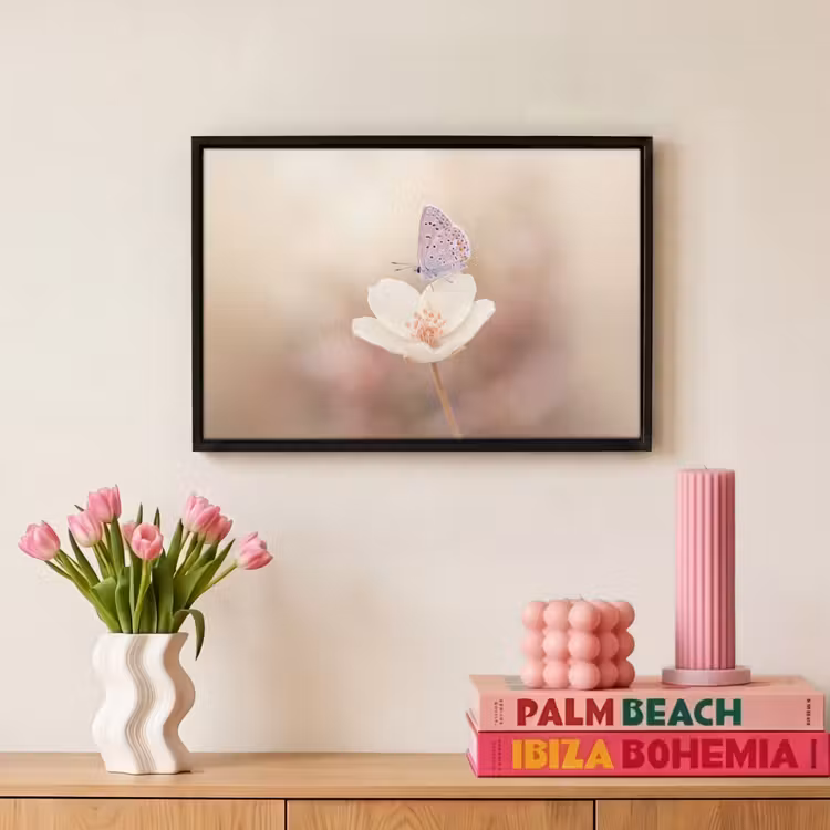 Canvas met lijst - Vlinder - Bloem - Blauw — 8