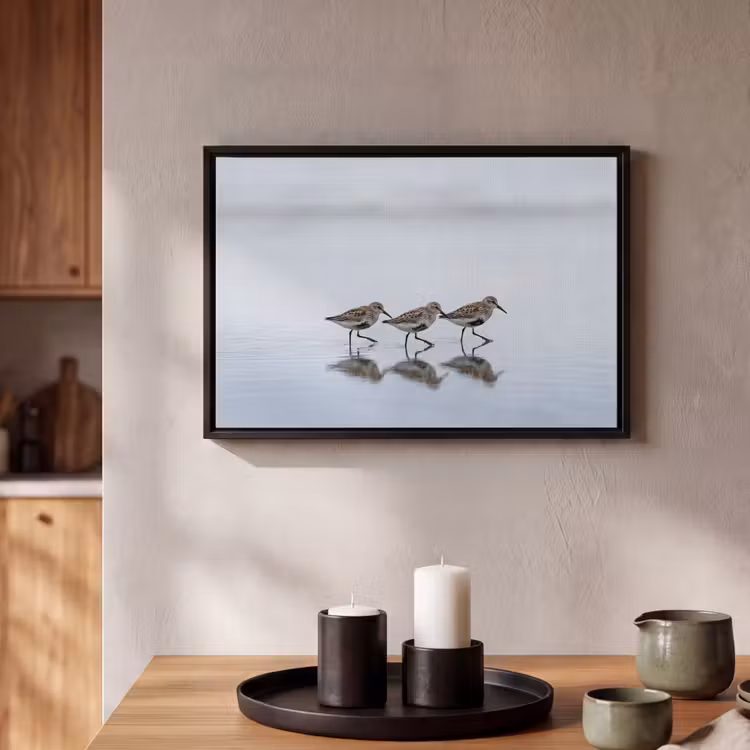 Canvas met lijst - Vogels - Water - Grijs — 2