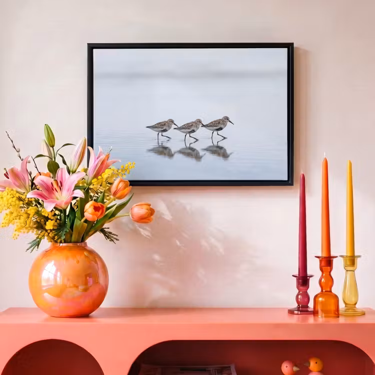 Canvas met lijst - Vogels - Water - Grijs — 4