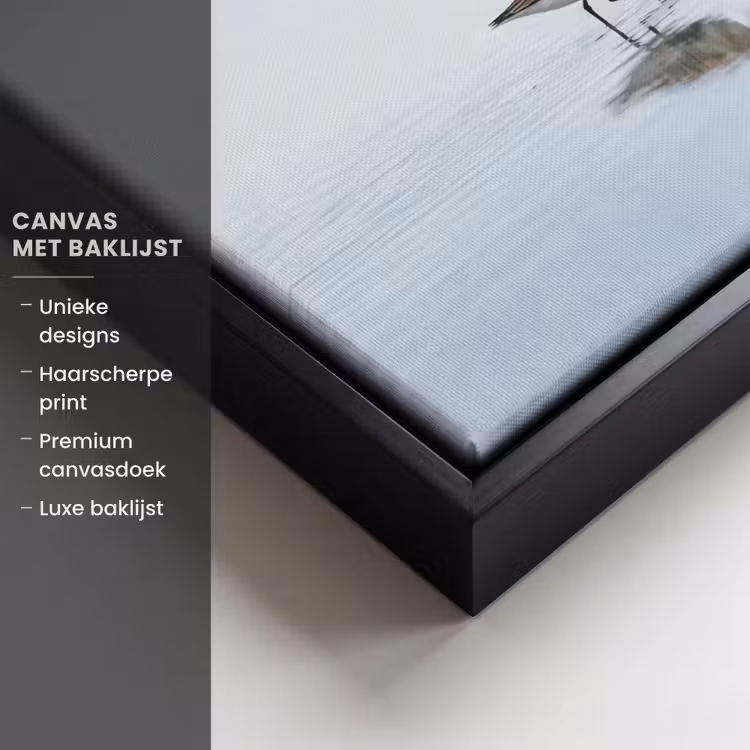 Canvas met lijst - Vogels - Water - Grijs — 5