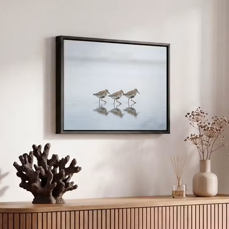 Canvas met lijst - Vogels - Water - Grijs — 6