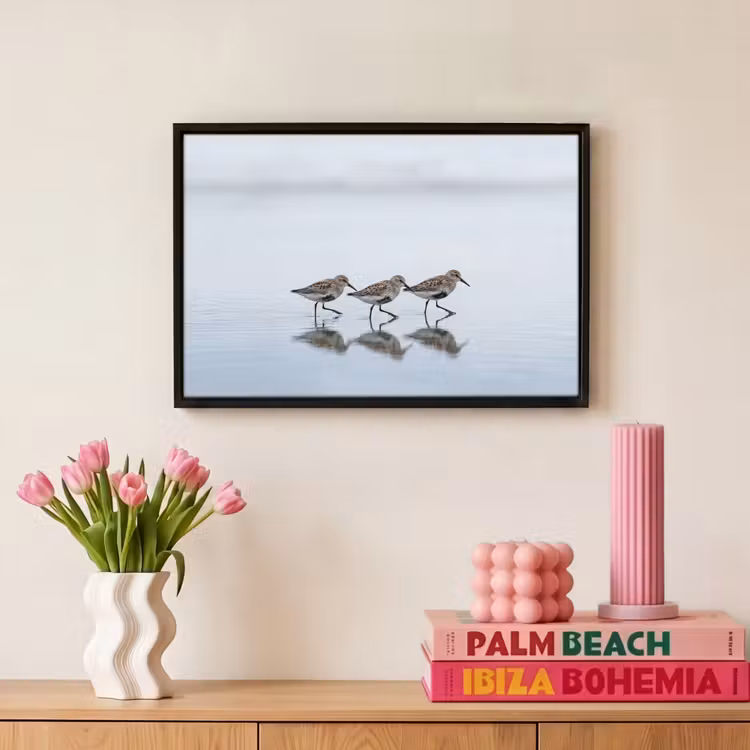 Canvas met lijst - Vogels - Water - Grijs — 8