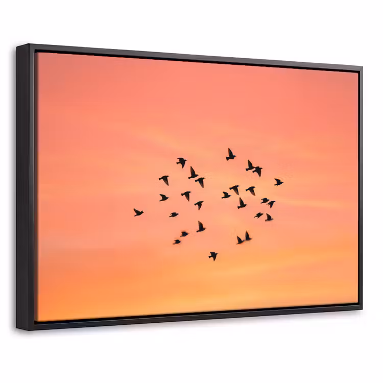 Canvas met lijst - Zwerm - Vogels - Oranje — 1