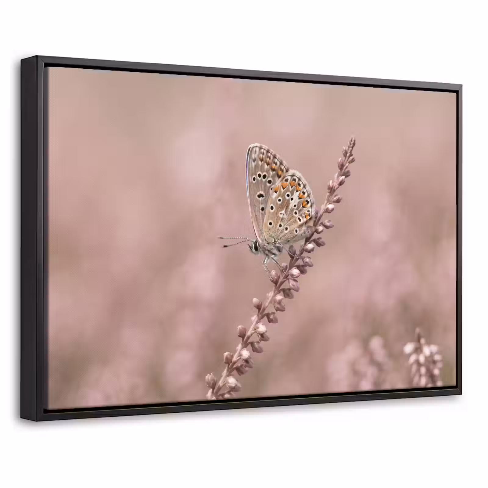 Canvas met lijst - Lavendel - Vlinder - Paars — 1