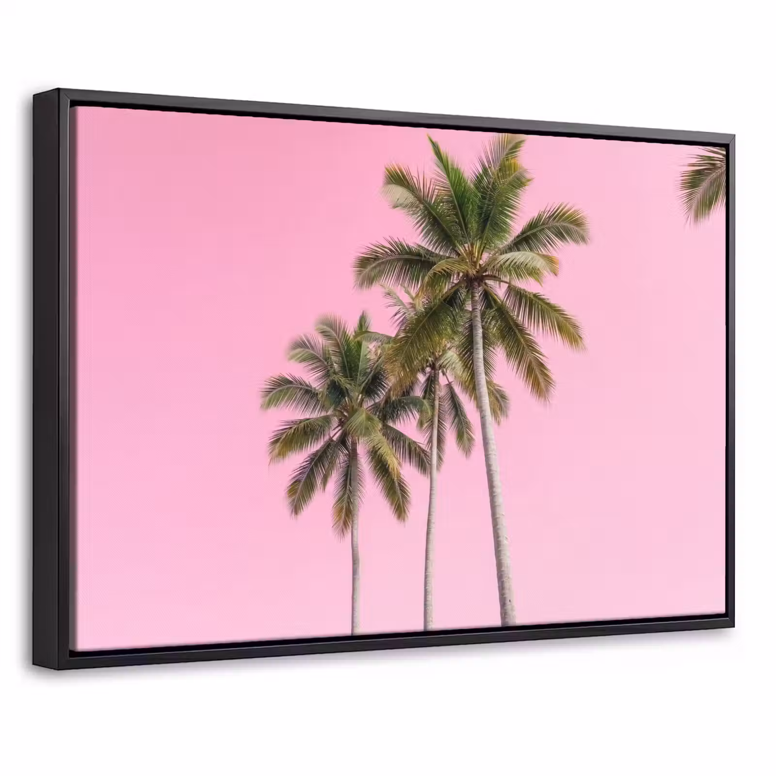 Canvas met lijst - Palmboom - Tropisch - Pink — 1