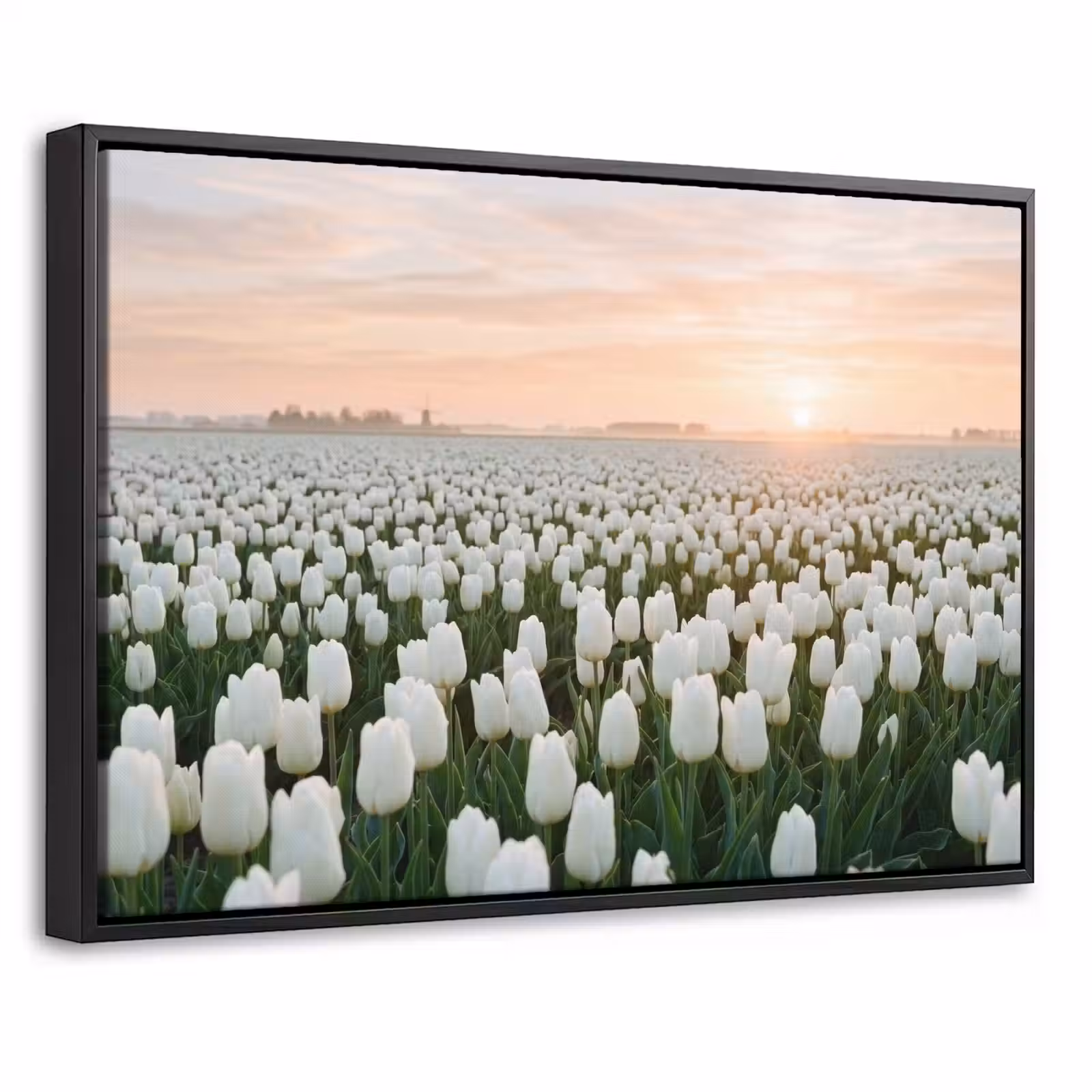Canvas met lijst - Tulpen - Landschap - Wit — 1